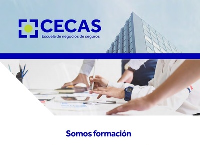 NUEVO WEBINAR CECAS